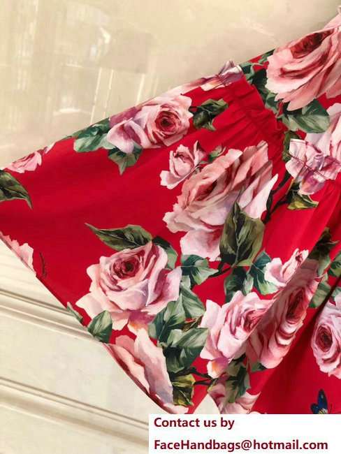 Dolce  &  Gabbana Flower Print Dress Red 2018